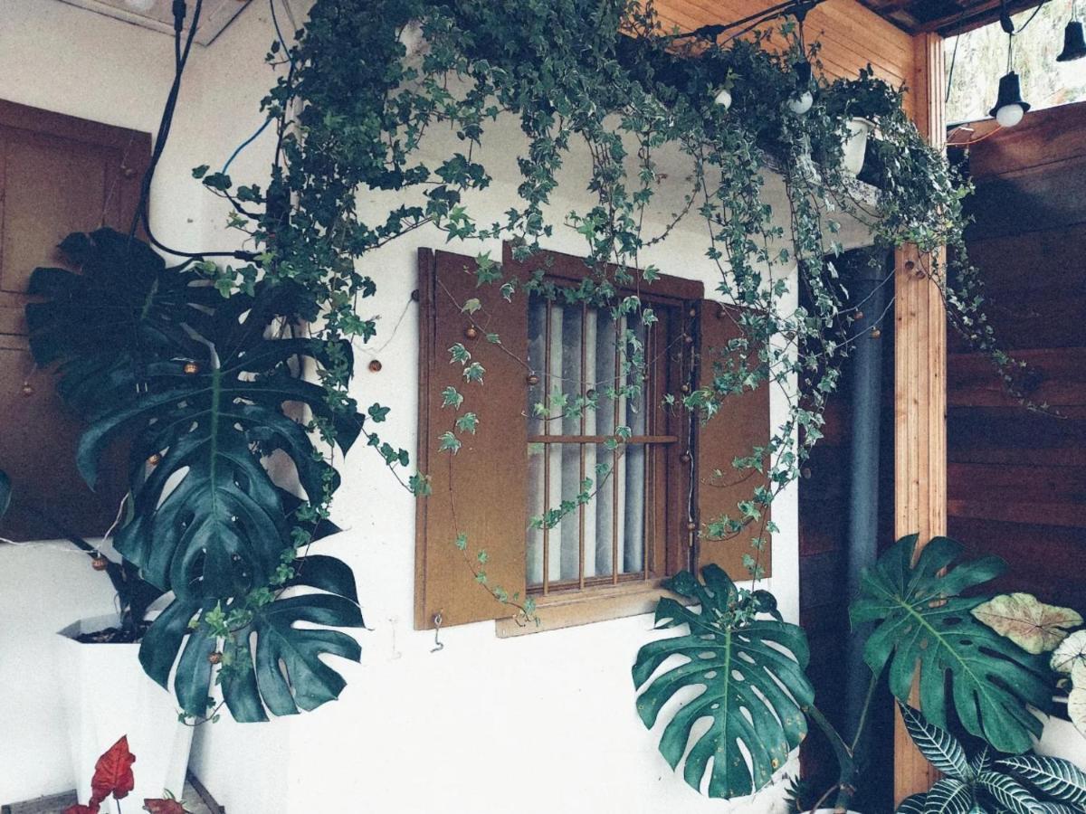 Soul Pnb Homestay Далат Екстер'єр фото